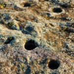 Bedrock mortars used by Native Americans to grind acorns.