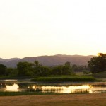 The ranch's sustainable practices include wetlands preservation.