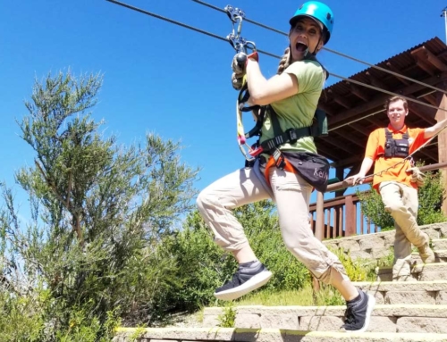 Save BIG on Holiday Gift Certificates with Our Limited-Time Special!