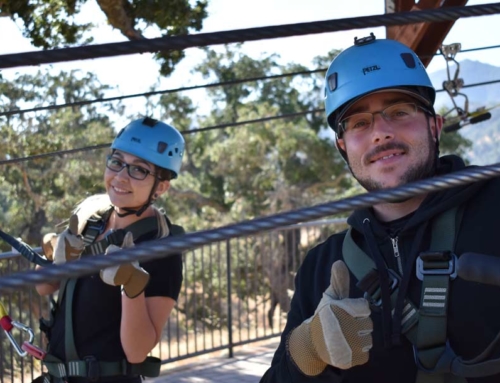 What Our Zipline Tour Is Like