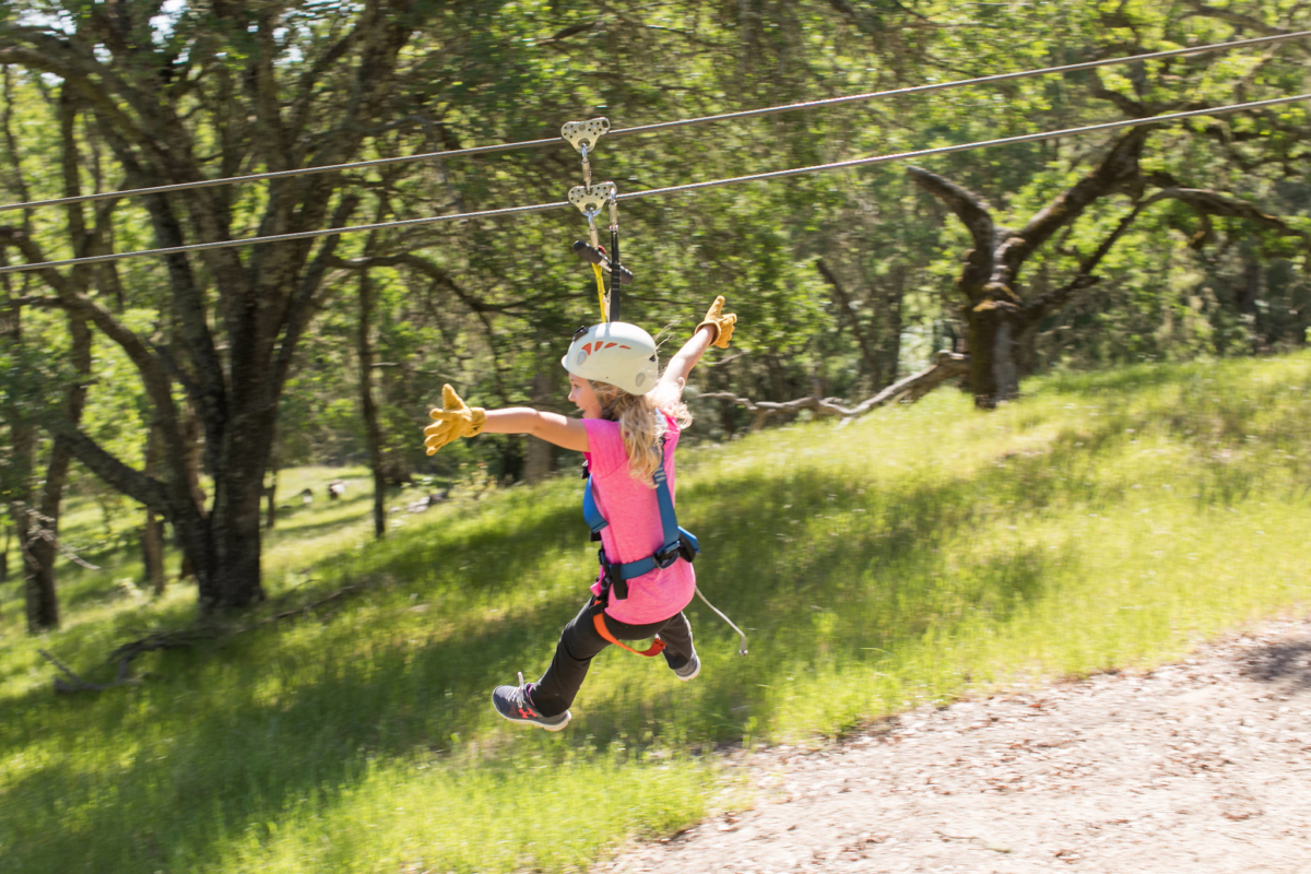 Jump for Joy Our Zipline Tours Are Back! Margarita Adventures