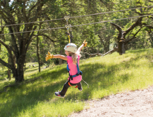 Jump for Joy: Our Zipline Tours Are Back!