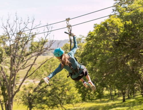 Find Your Five-Star Adventure Today