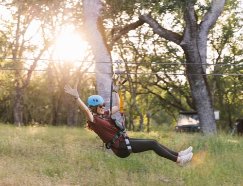 Our Summer Sunset Zipline Tours Are Back!