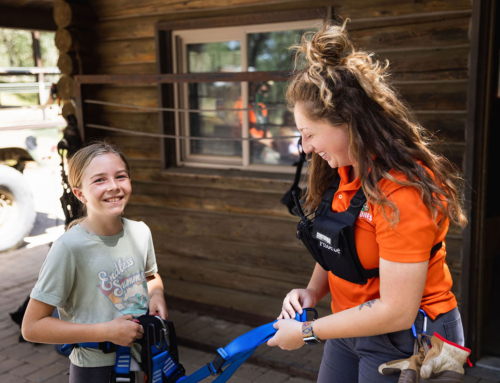 Join Us for “High-Flying Treats” on Halloween!