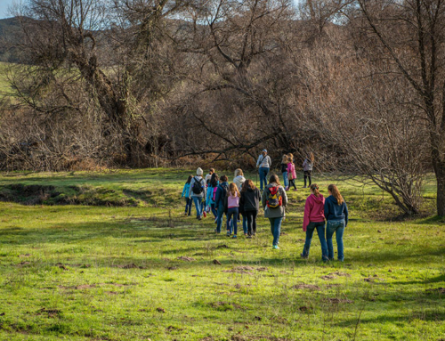 Spring Kids Camp Starts April 14 – Don’t Miss It!