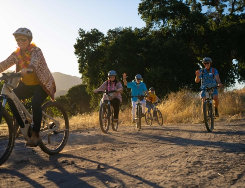 Where Fun Meets Flavor: Wine Tasting Included with All e-Bike Tours This August