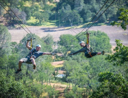 FIVE BEST “NON-WINE THINGS TO DO” IN PASO ROBLES